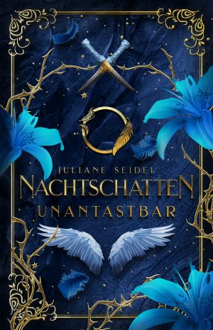 Nachtschatten 1 E Book